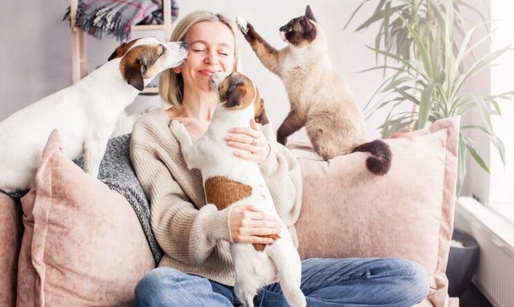 Hoolie Pet Insurance: Η Startup Μέλος του Elevate Greece που Ενώνει Ασφάλιση και Πρόληψη για τα Κατοικίδιά σου