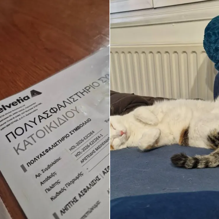 Hoolie Pet Insurance